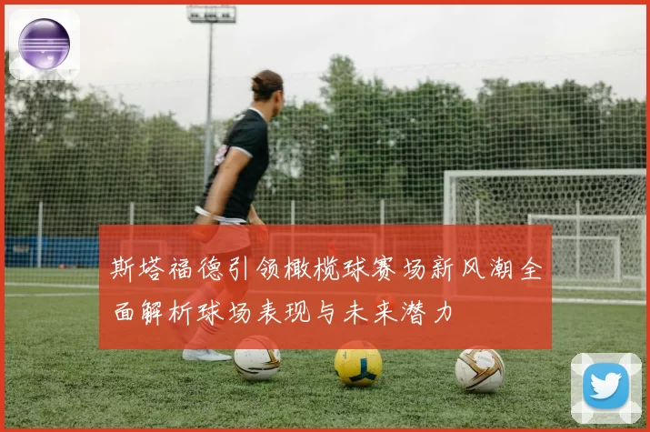 斯塔福德引领橄榄球赛场新风潮全面解析球场表现与未来潜力