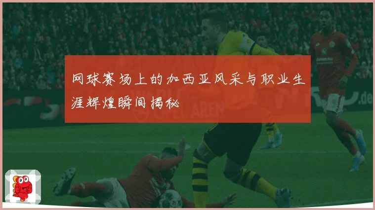 网球赛场上的加西亚风采与职业生涯辉煌瞬间揭秘