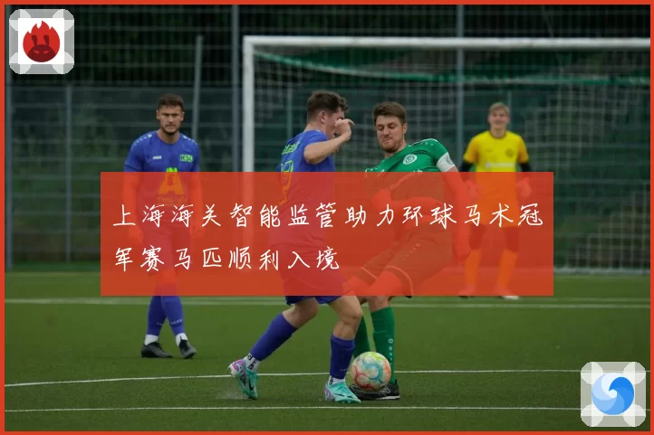 上海海关智能监管助力环球马术冠军赛马匹顺利入境
